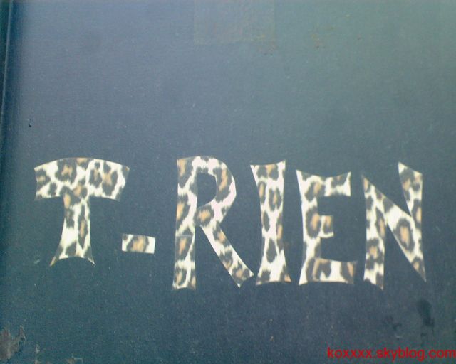logo.jpg